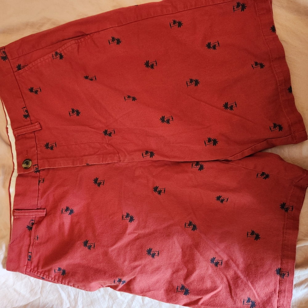Red Shorts with Palm Tree Print - Picture 2 of 7